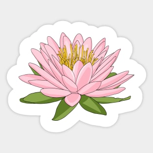 Pink lotus flower blooming Sticker